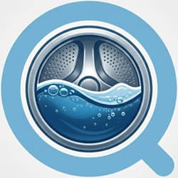 Logo de Queenwash & Dry